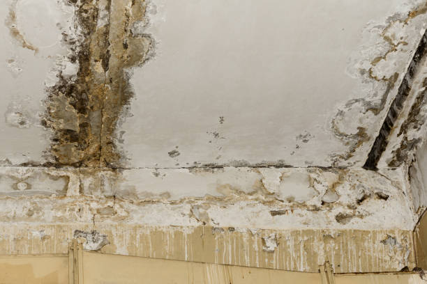 Water damage restoration insurance claims in North St Paul, MN